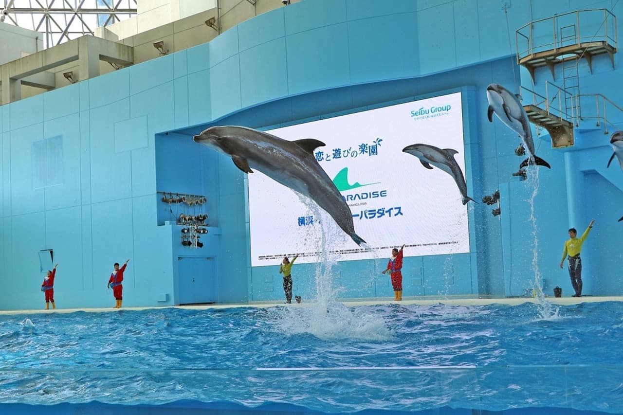 Yokohama Hakkeijima Sea Paradise Ticket - تصویر 12