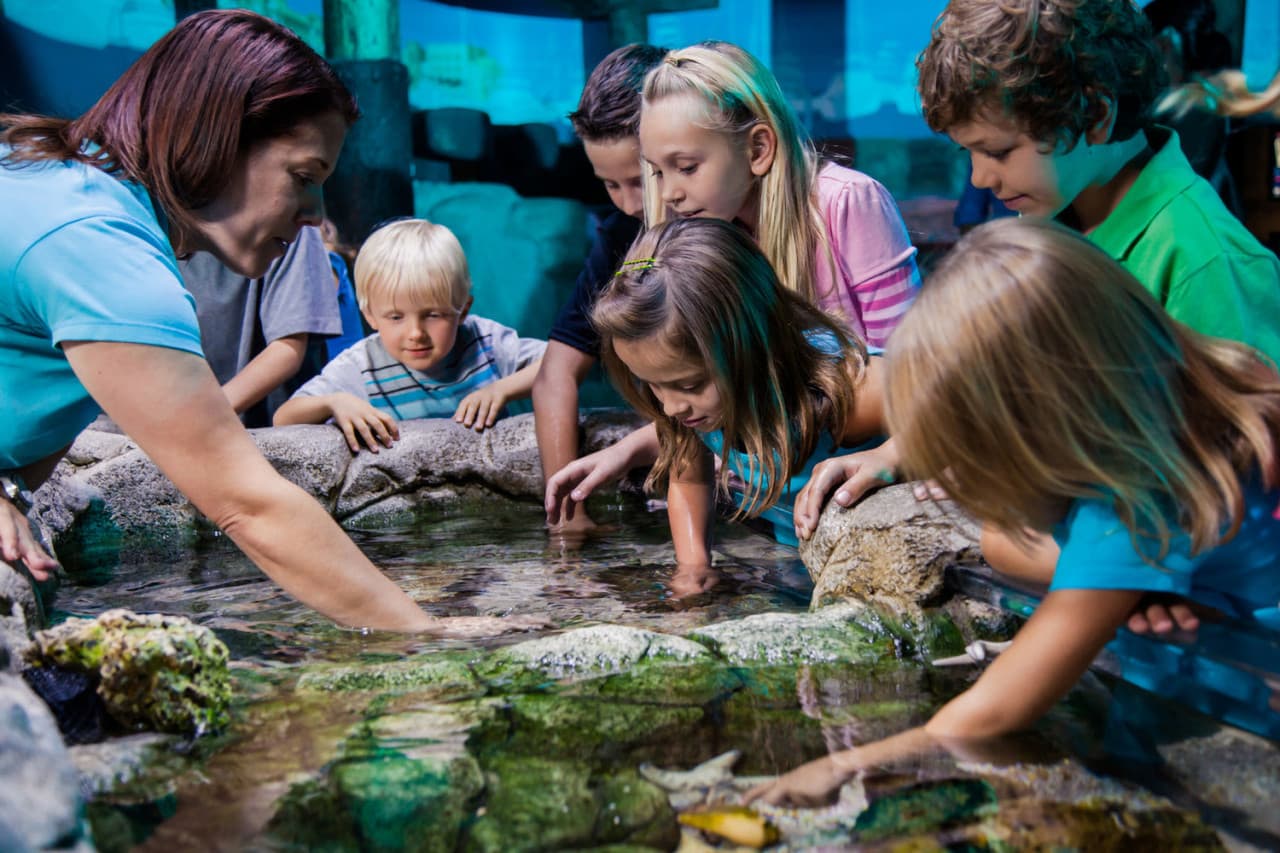 Go City Orlando All-Inclusive Pass: Save up to 50% on Attractions - تصویر 24