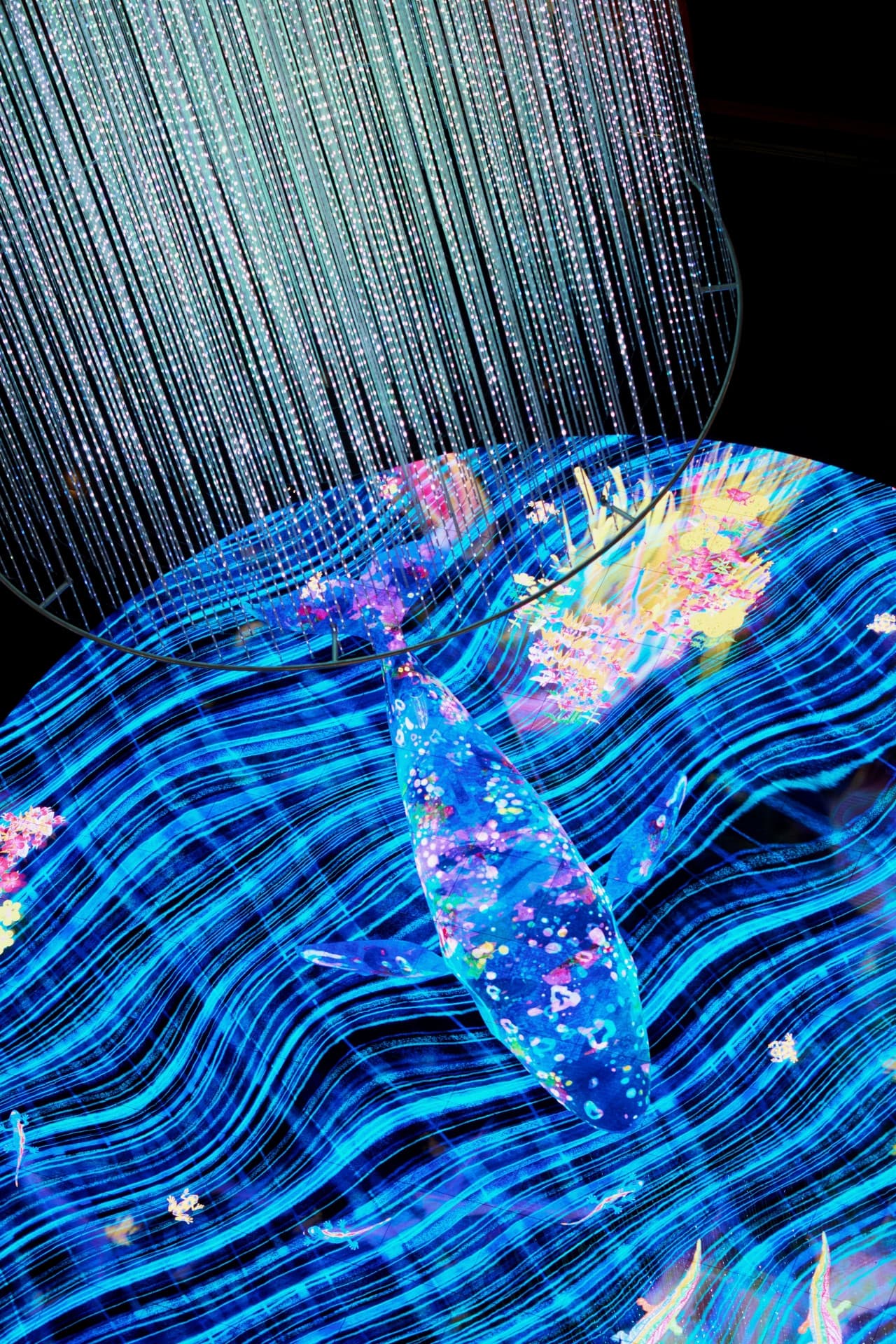 Digital Light Canvas by teamlab Ticket - تصویر اصلی