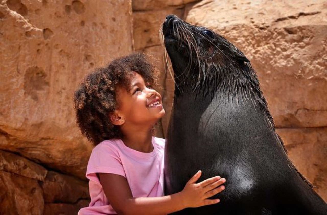 Atlantis Dubai Ticket - تصویر 11
