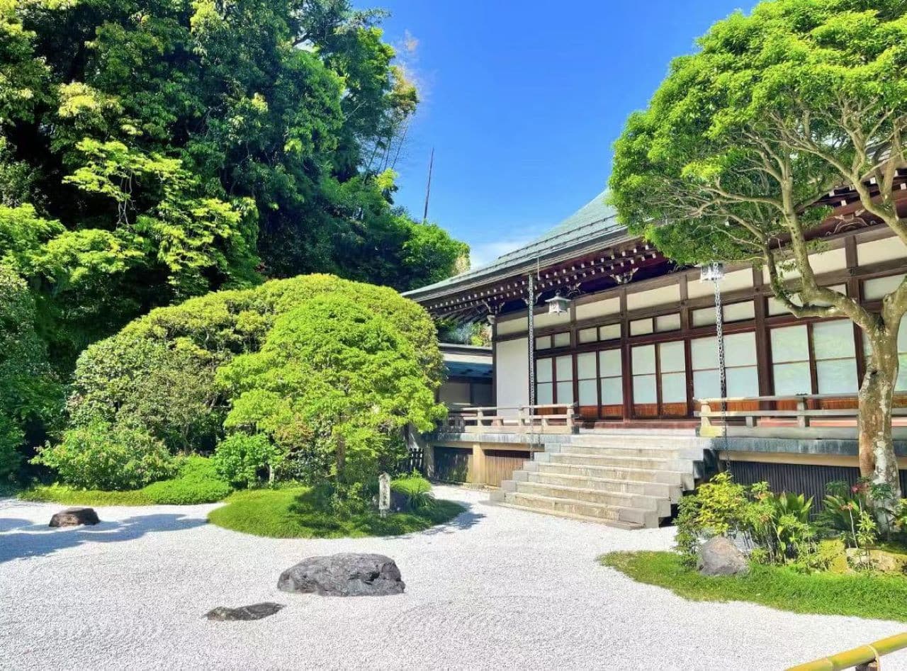 Kotoku-in Temple and Enoshima Day Tour from Tokyo - تصویر 2