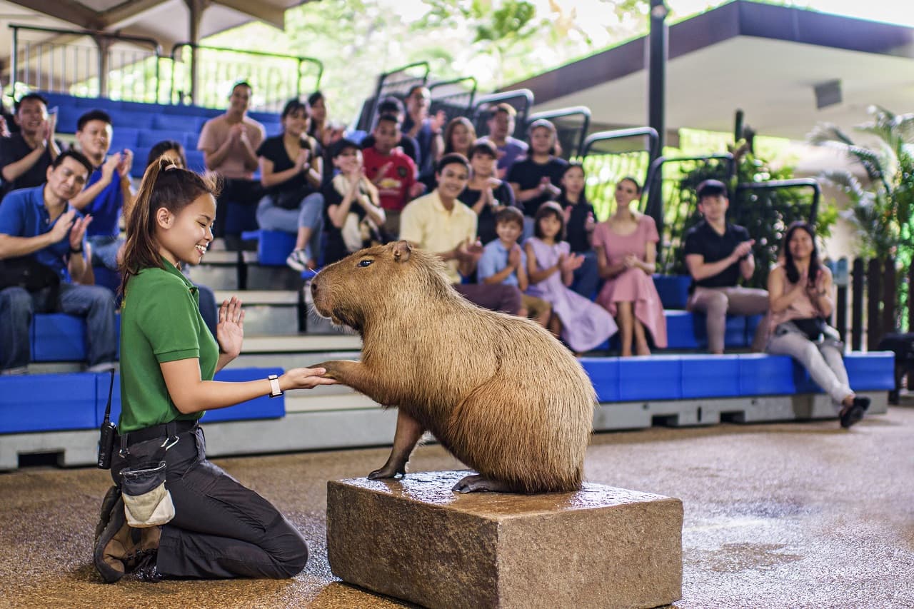 River Wonders Singapore Ticket - تصویر 9