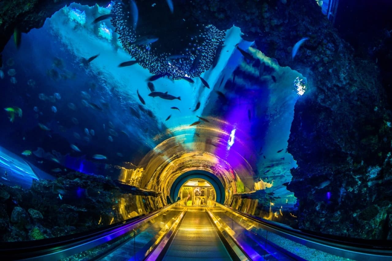 Pingtung National Museum of Marine Biology and Aquarium Ticket - تصویر 7