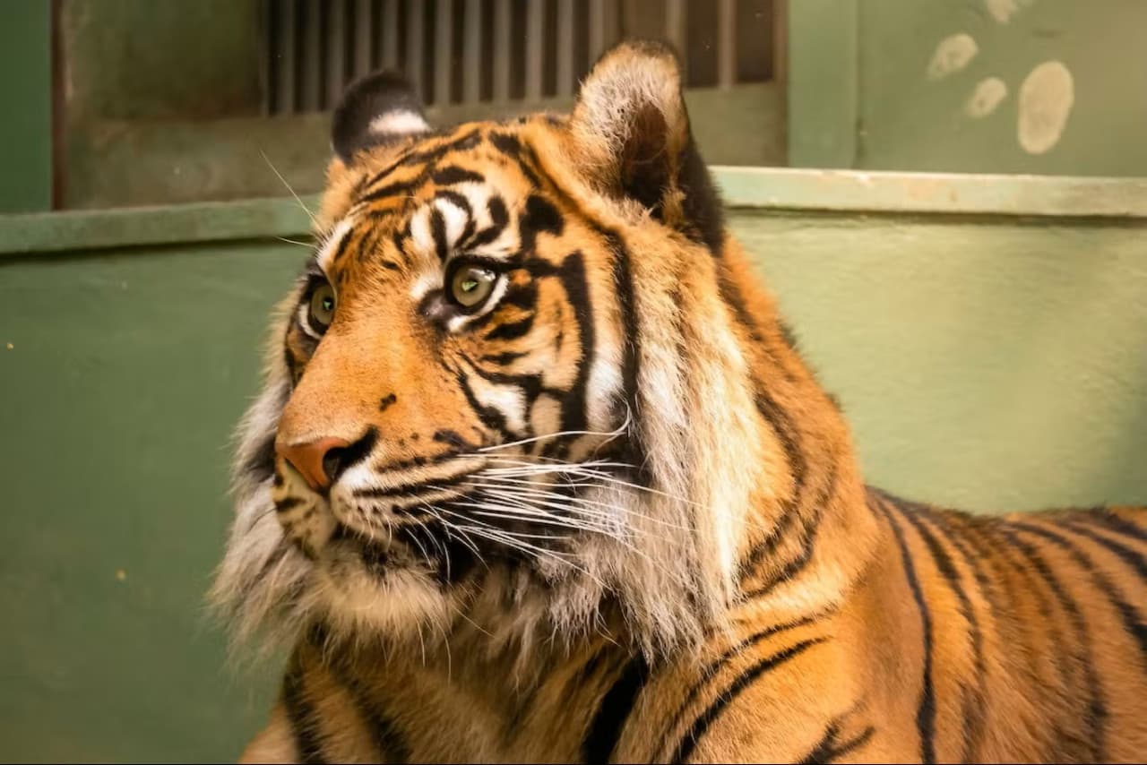 Prague Zoo Ticket + Audio Guide - تصویر 3