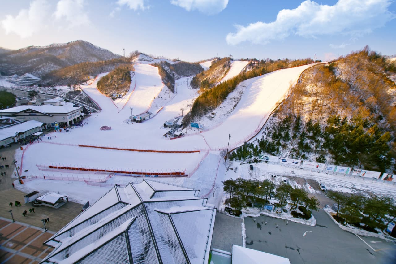 Elysian Gangchon Ski Resort and Nami Island Full-Day Tour from Seoul - تصویر 7