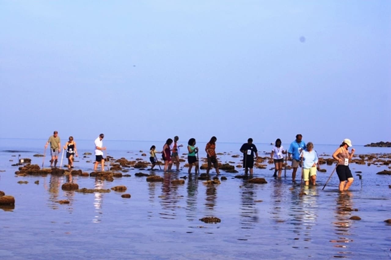 Desaru Beach and Tide Pool Walk - تصویر 10