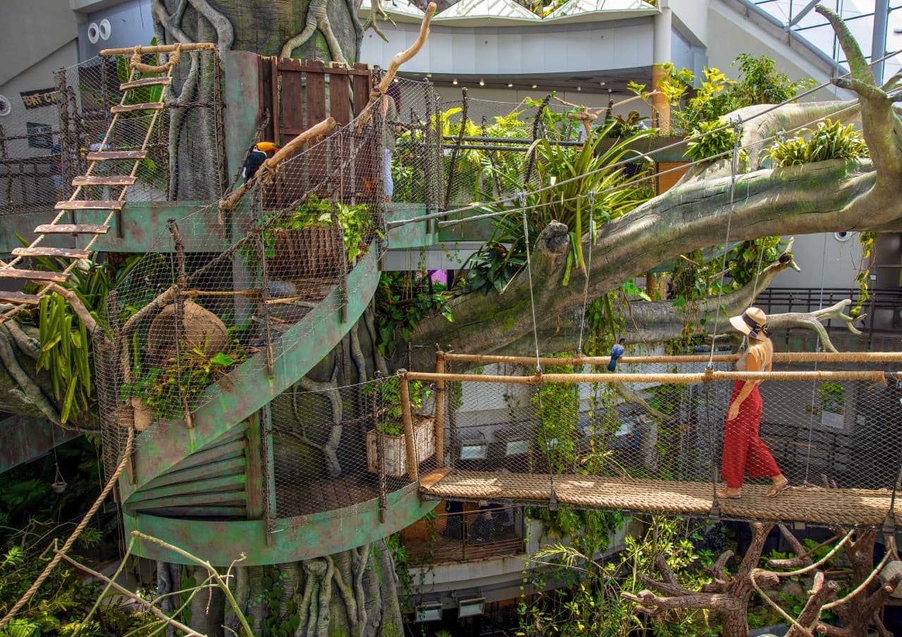 COMBO: Ain Dubai + The Green Planet Tickets - تصویر 9