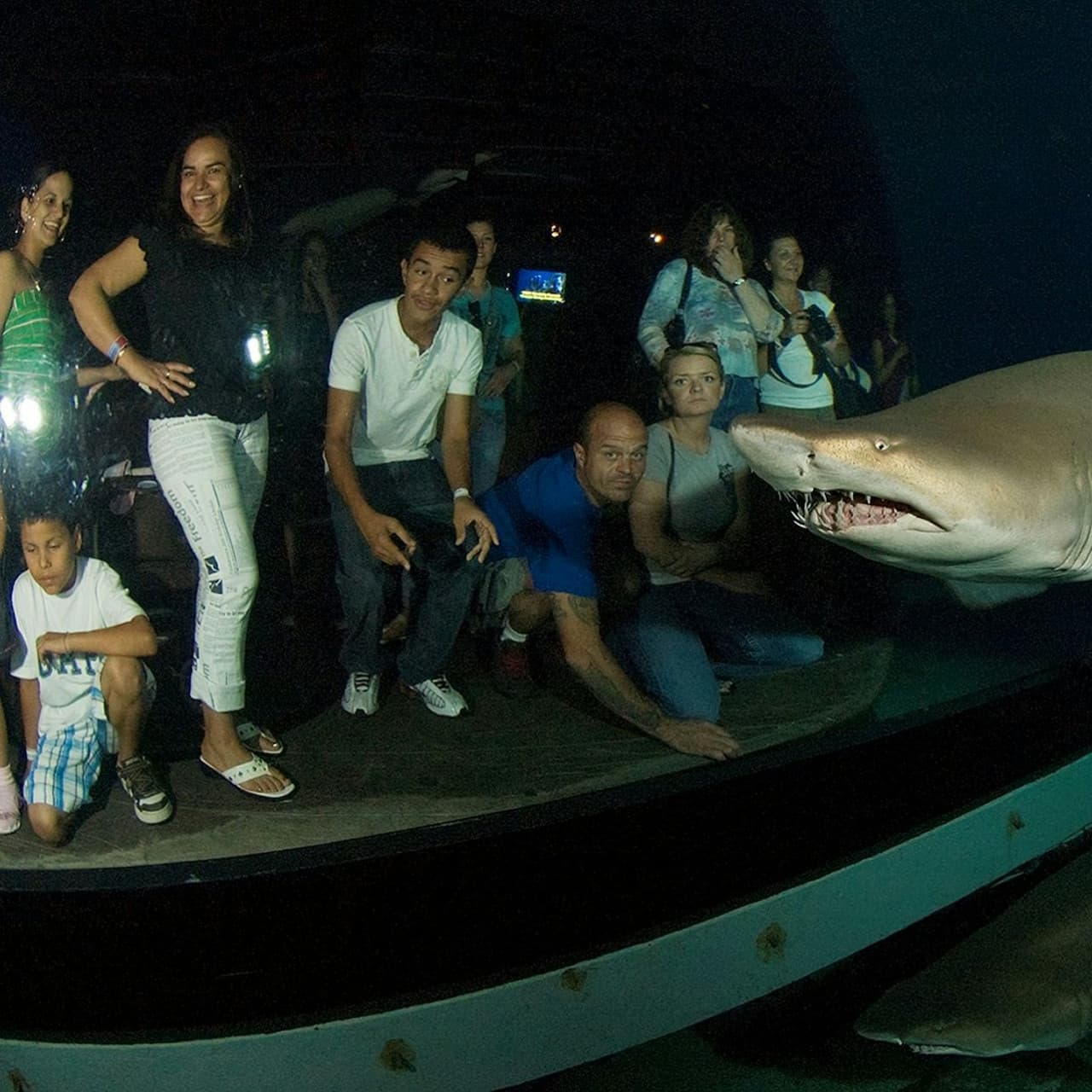 Downtown Aquarium Denver Ticket - تصویر 11