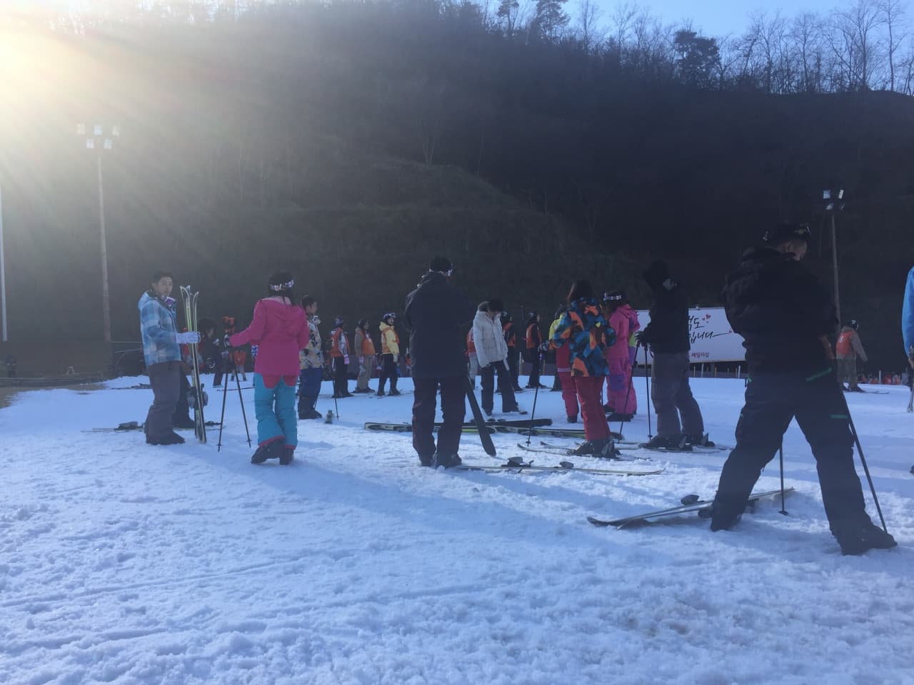 Elysian Gangchon Ski Resort and Nami Island Full-Day Tour from Seoul - تصویر 9