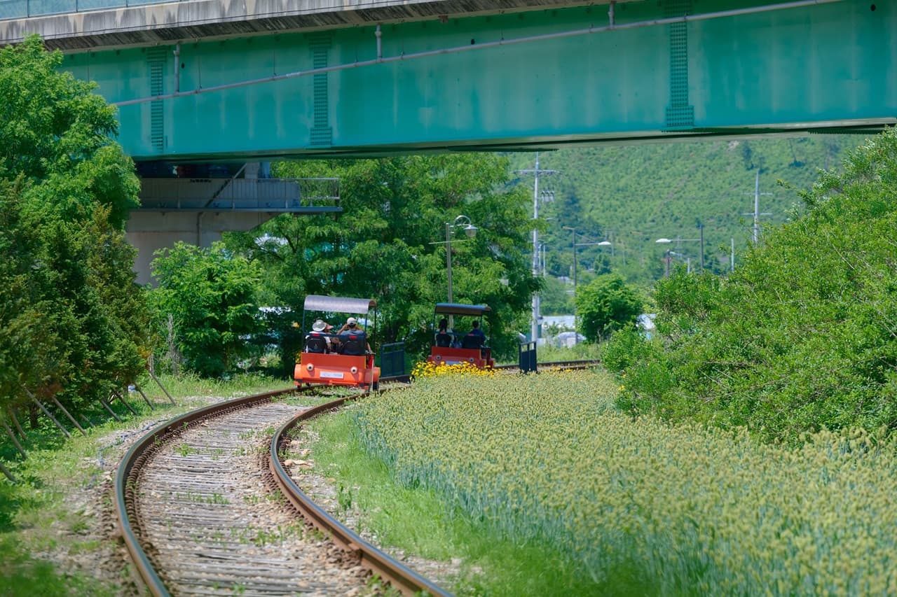 Nami Island, Mount Seorak, and Garden of Morning Calm Full-Day Tour from Seoul - تصویر 32