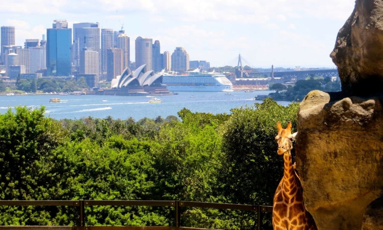 Taronga Zoo Ticket with Optional Round Trip Ferry - تصویر 9