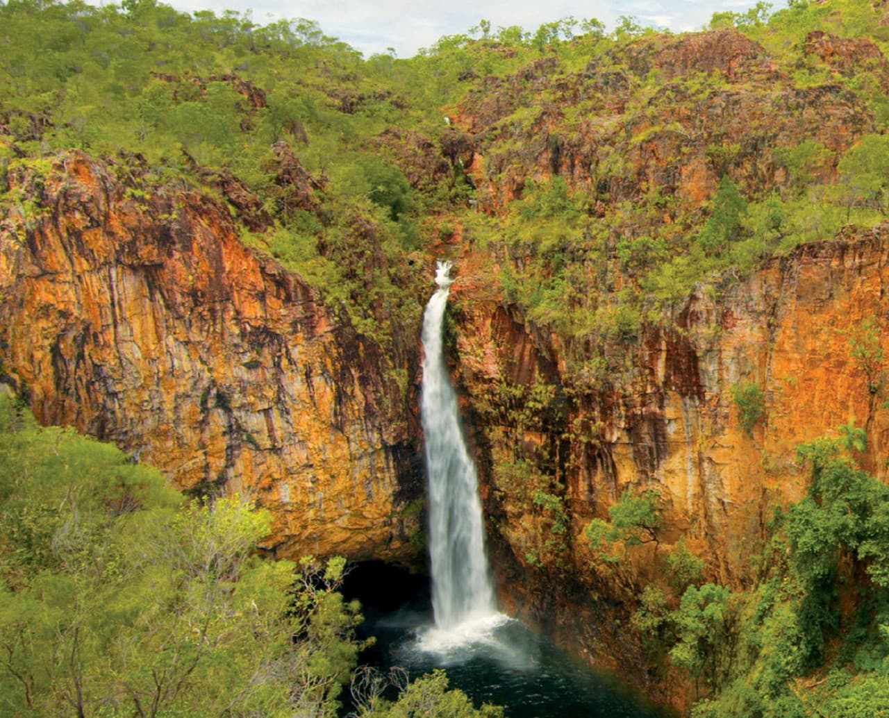 Litchfield National Park and Waterfalls Tour from Darwin - تصویر اصلی