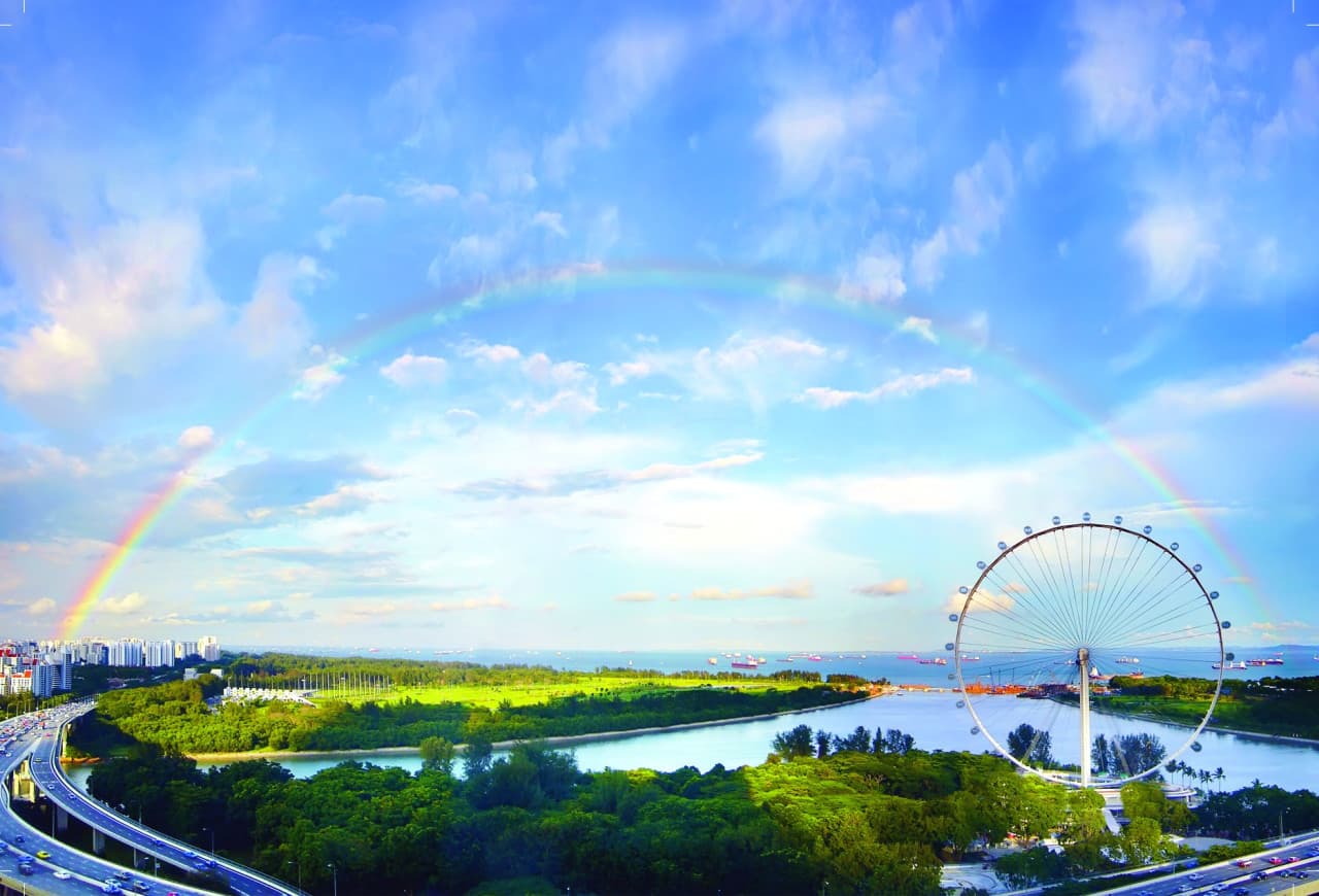 COMBO: Singapore Flyer + Gardens by the Bay Ticket - تصویر اصلی
