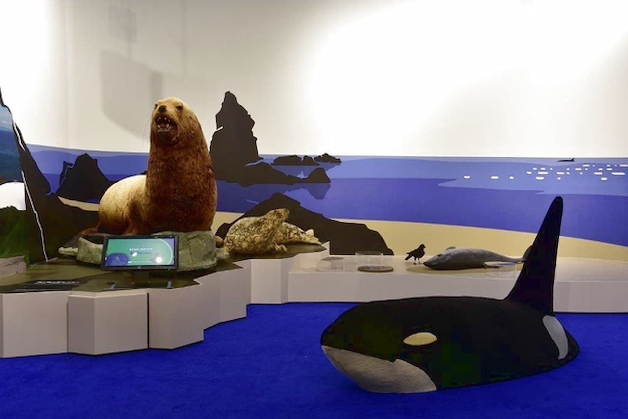 Hokkaido Museum Ticket - تصویر 6