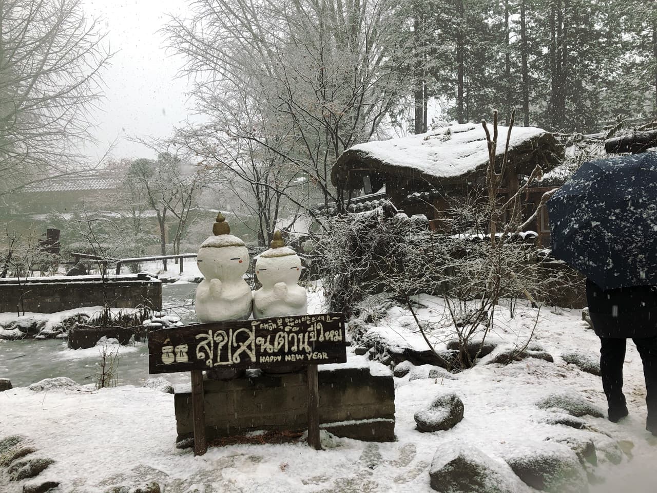 Nami Island, Mount Seorak, and Gapyeong Rail Bike Full-Day Tour from Seoul - تصویر 11