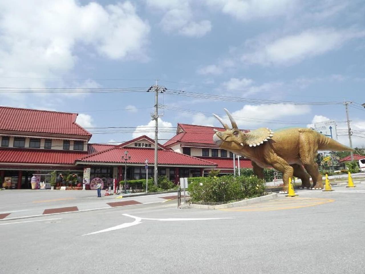 Okinawa Churaumi TokuToku 5 Pass - تصویر 15