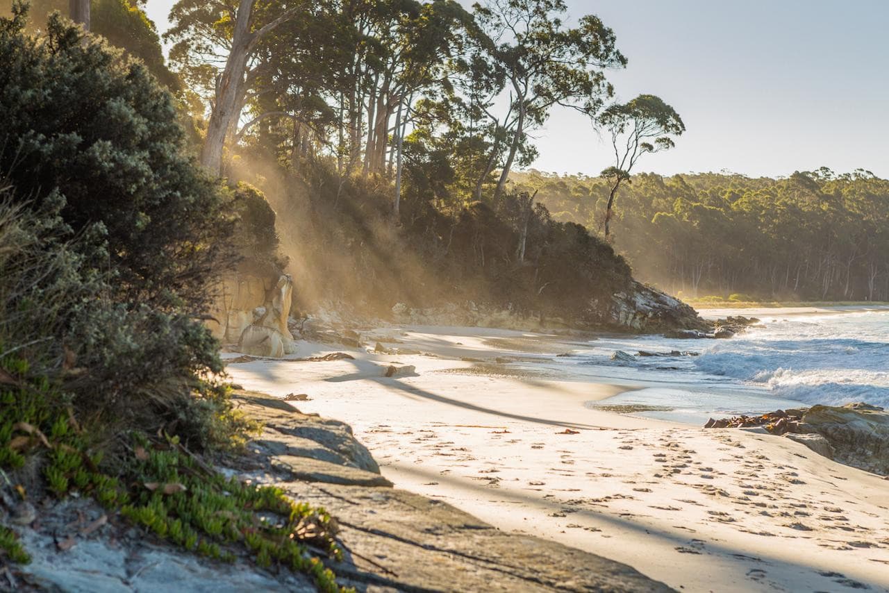 Bruny Island Full-Day Tour from Hobart - تصویر 2