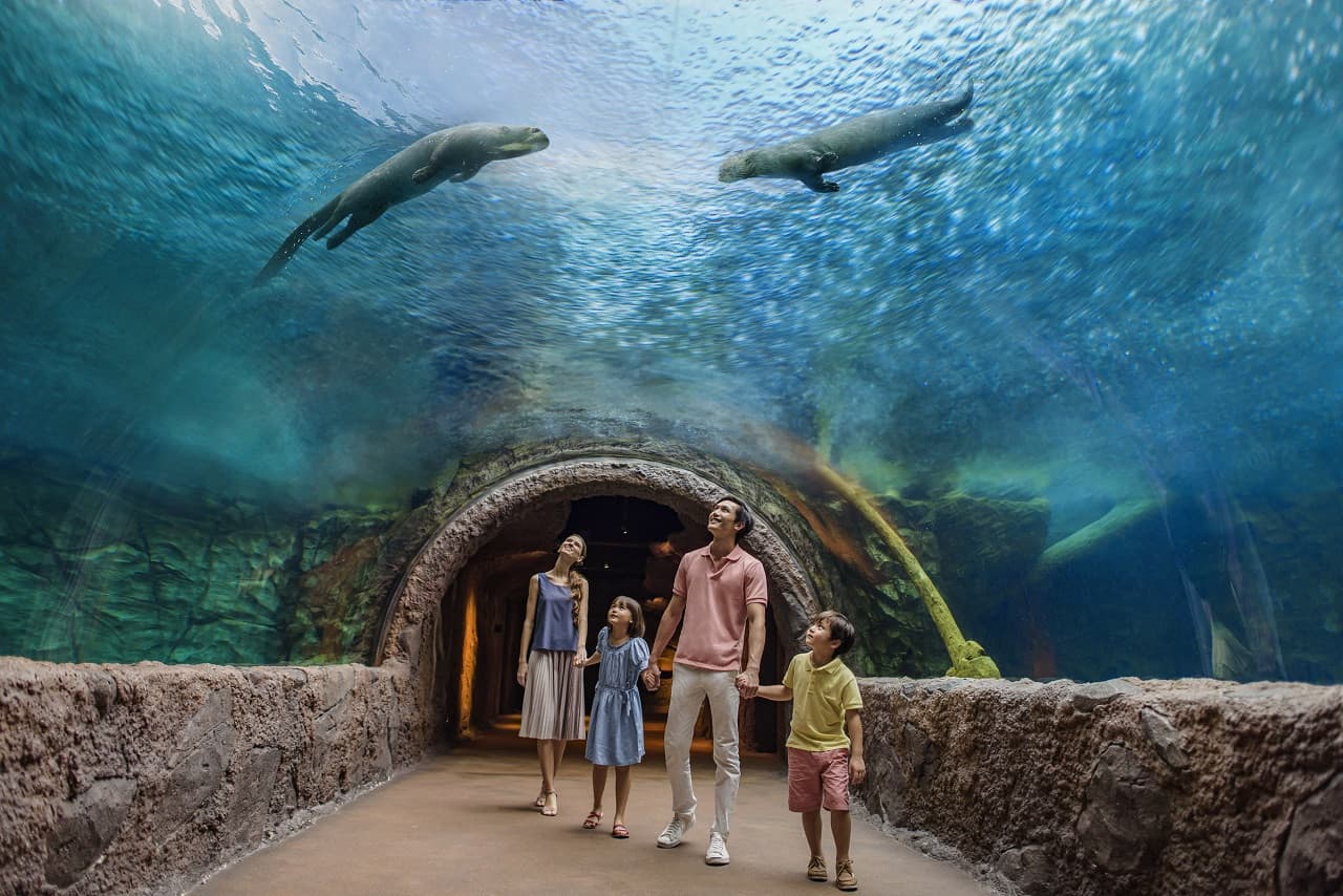 Mandai Destination Pass: Visit Up to 6 Attractions in 1 or 5 Days - تصویر 9