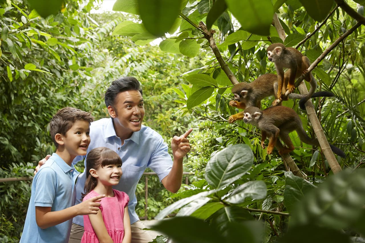 Go City Singapore Explorer Pass: Save up to 50% on Attractions - تصویر 18
