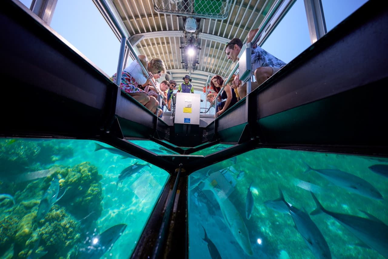 Green Island Great Barrier Reef Half Day Tour from Cairns - تصویر 3