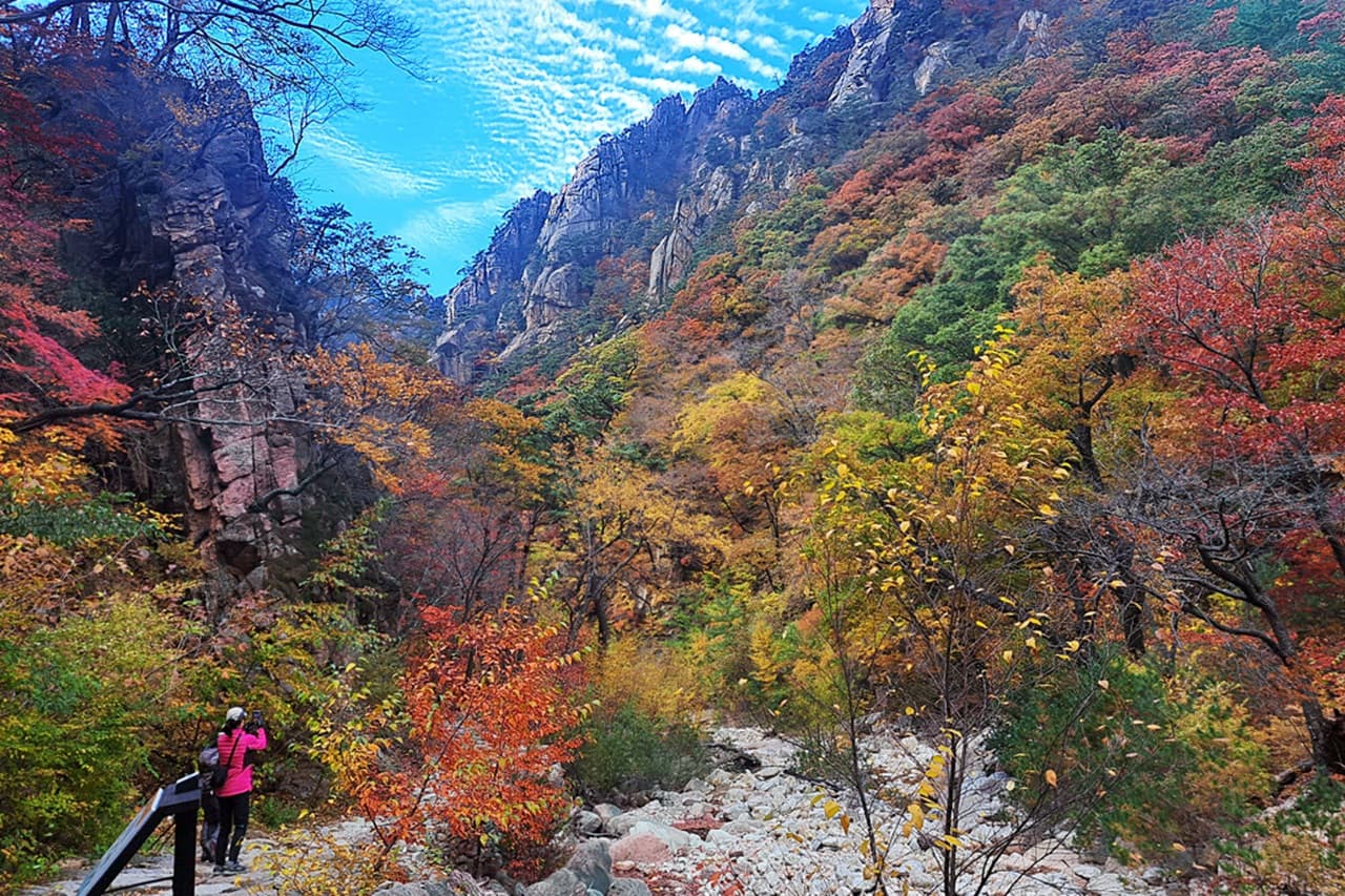 Nami Island, Mount Seorak, and Garden of Morning Calm Full-Day Tour from Seoul - تصویر 5
