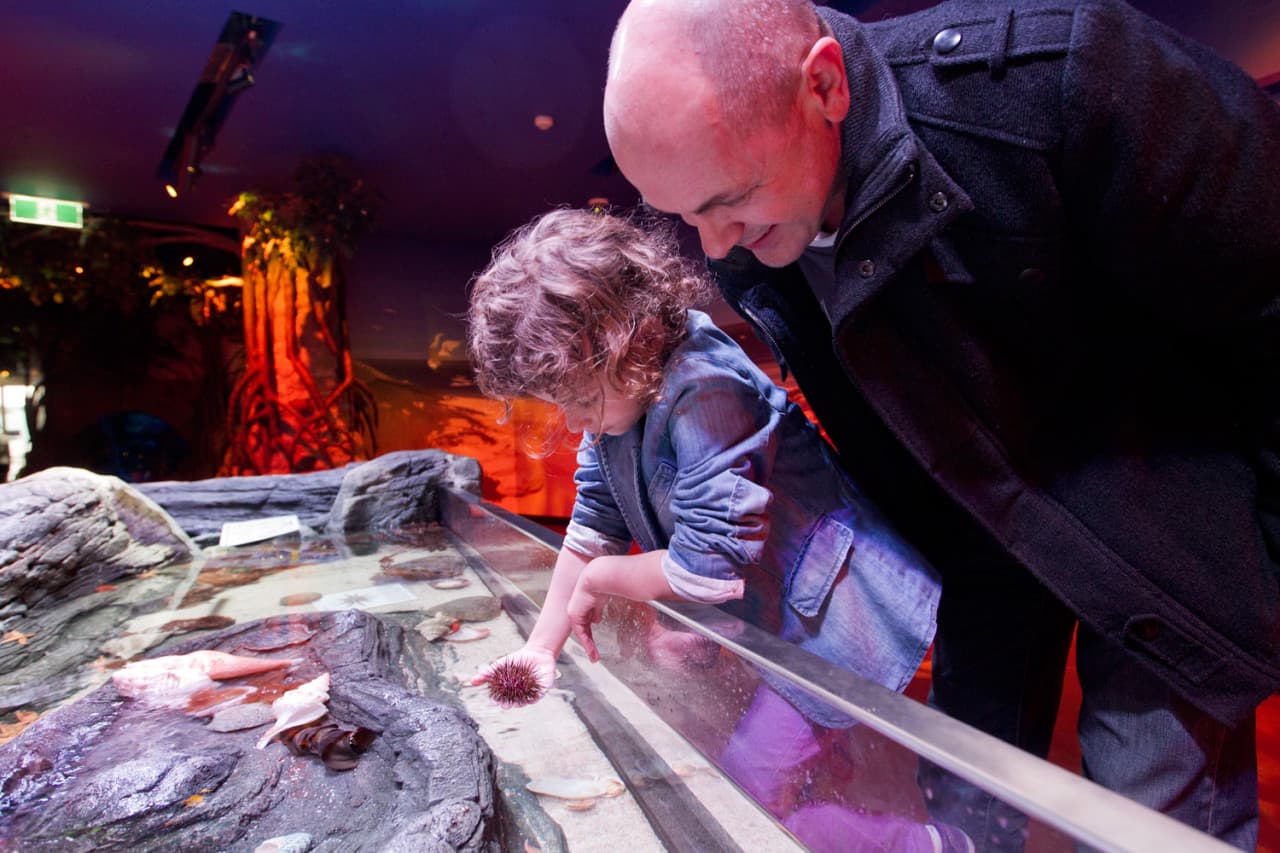 COMBO: Melbourne Skydeck + SEA LIFE Melbourne Aquarium Tickets - تصویر 9
