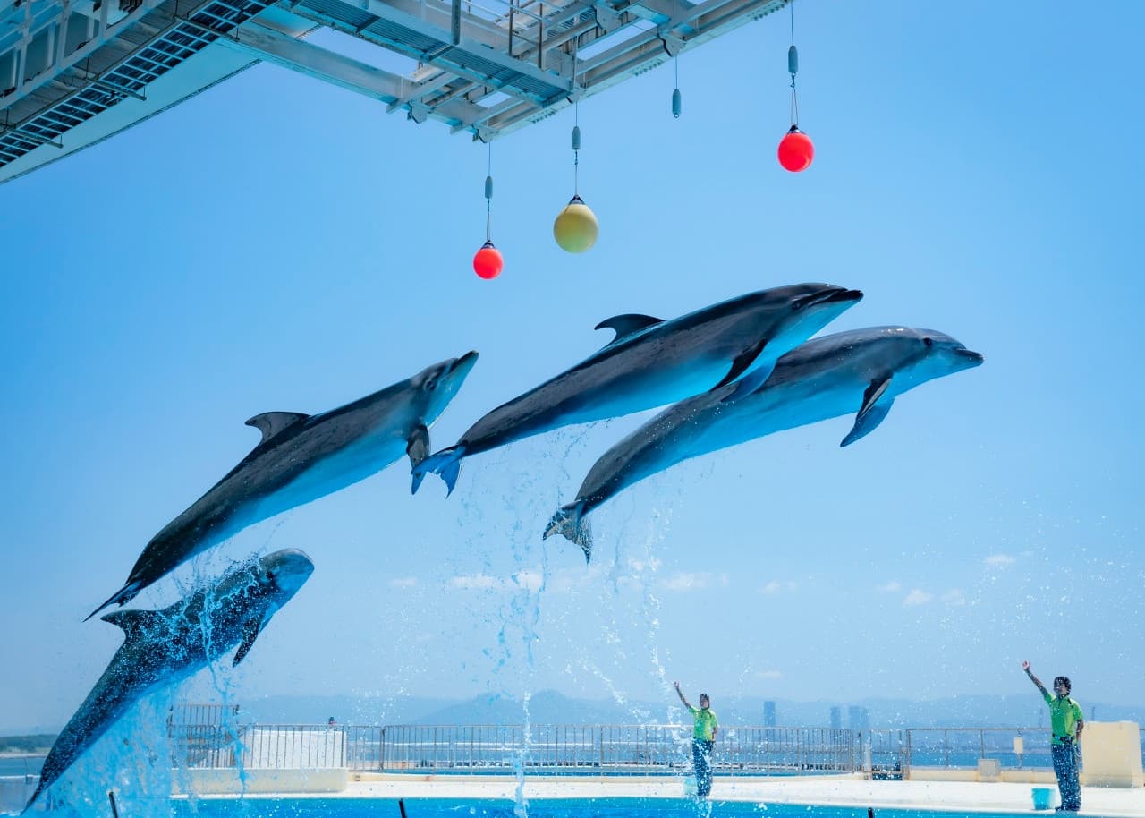 Marine World Uminonakamichi - تصویر اصلی
