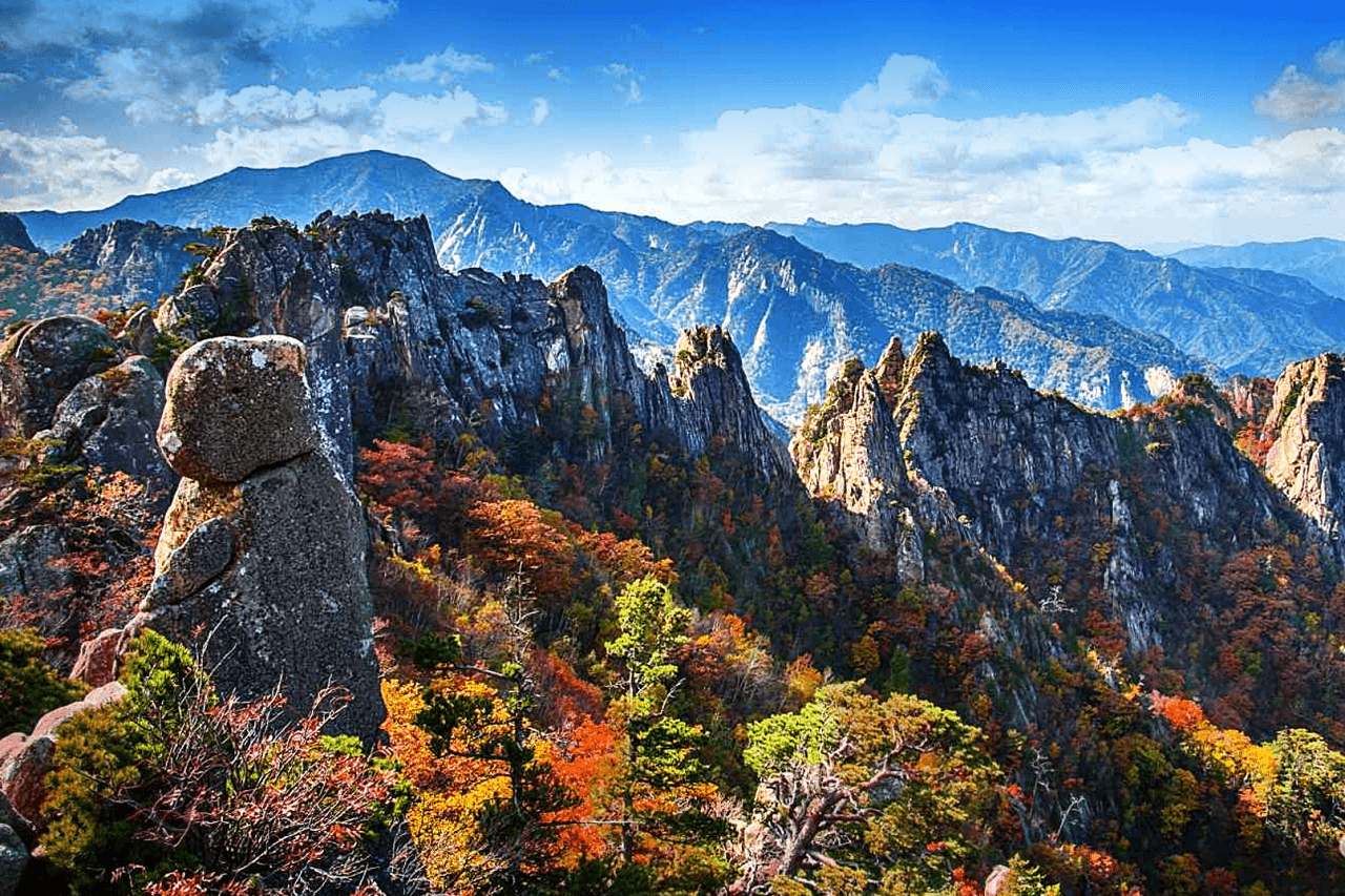 Nami Island, Mount Seorak, and Garden of Morning Calm Full-Day Tour from Seoul - تصویر 6