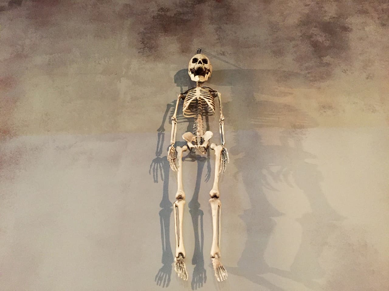 Seoul Trick Eye Museum - تصویر 18