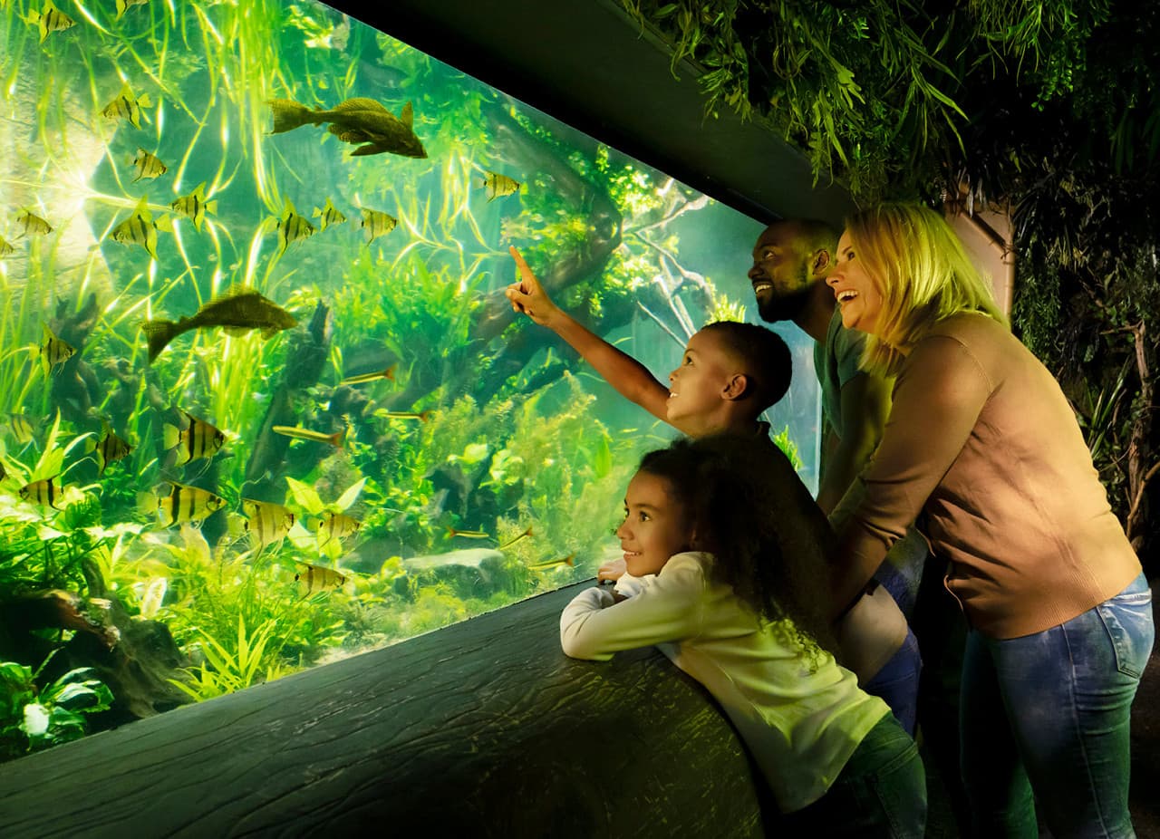 COMBO: London Eye + Madame Tussauds London + SEA LIFE London Aquarium Ticket - تصویر 14