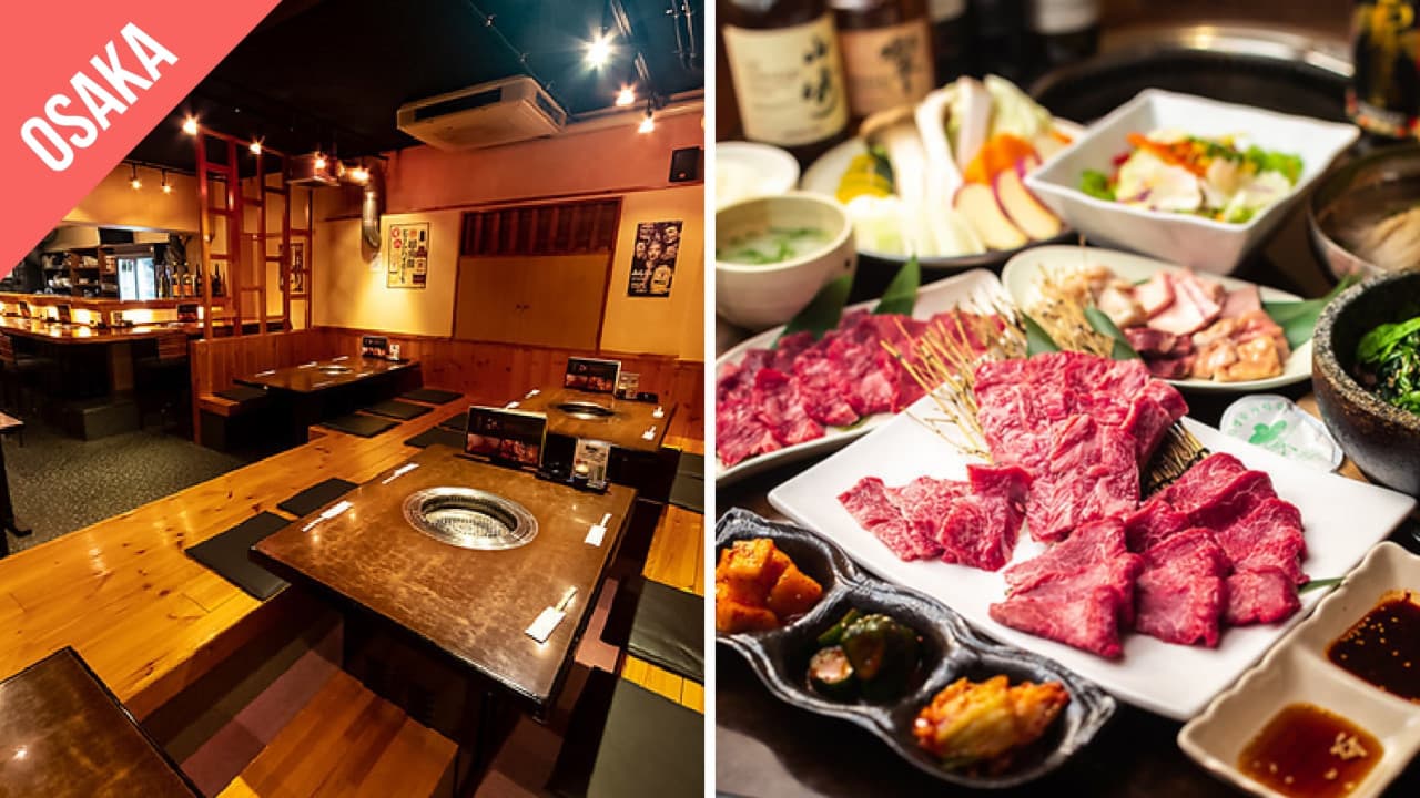 Have Fun in Kansai Pass - 1 Week Free Pass - تصویر 2