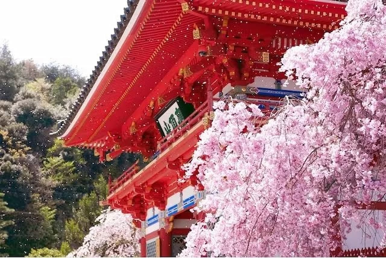 Katsuo-ji Temple Ticket - تصویر 4