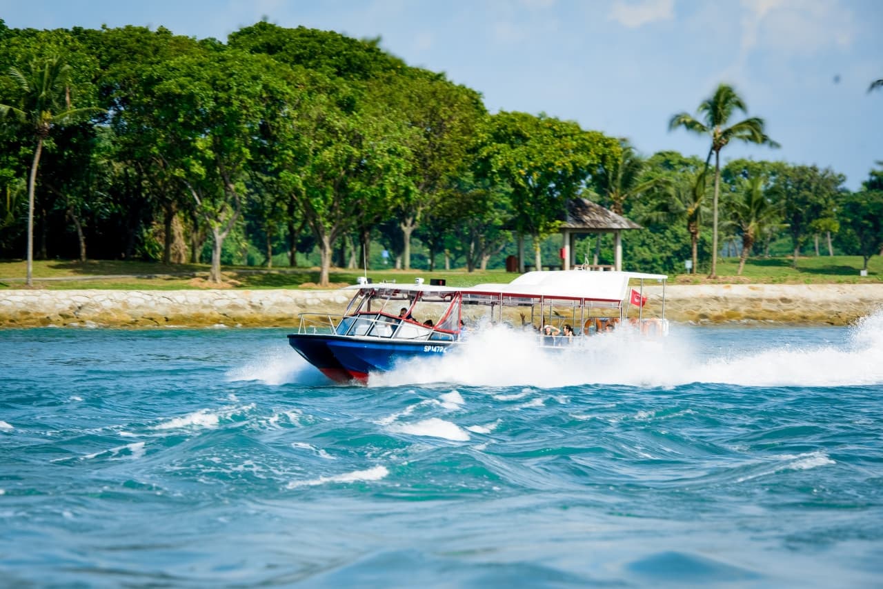 COMBO: Singapore Oceanarium + Albatross Hop-On Hop-Off Speedboat Tickets - تصویر 7