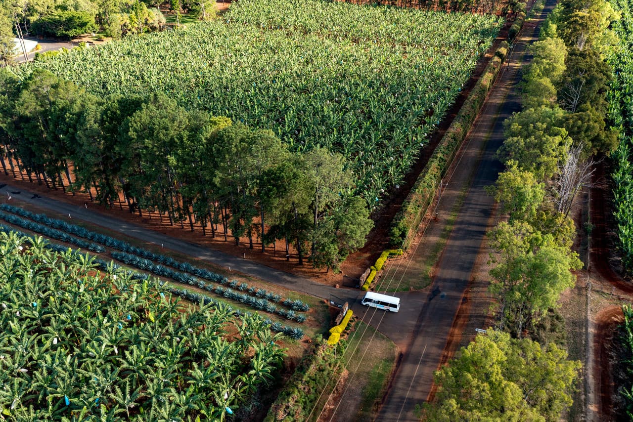 Australian Outback Food and Wine Tasting Tour from Cairns and Northern Beaches - تصویر 10