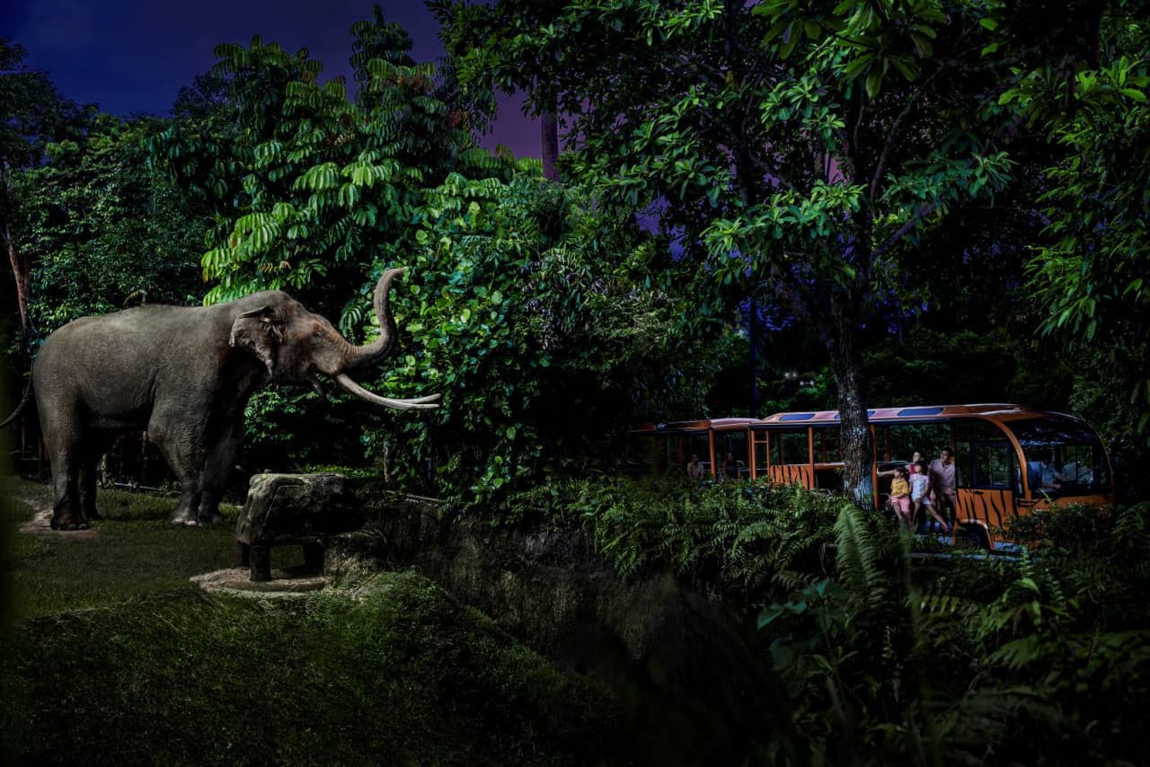 PROMO: Gardens by the Bay Autumn Escape Bundles (Save up to 30%) - تصویر 7