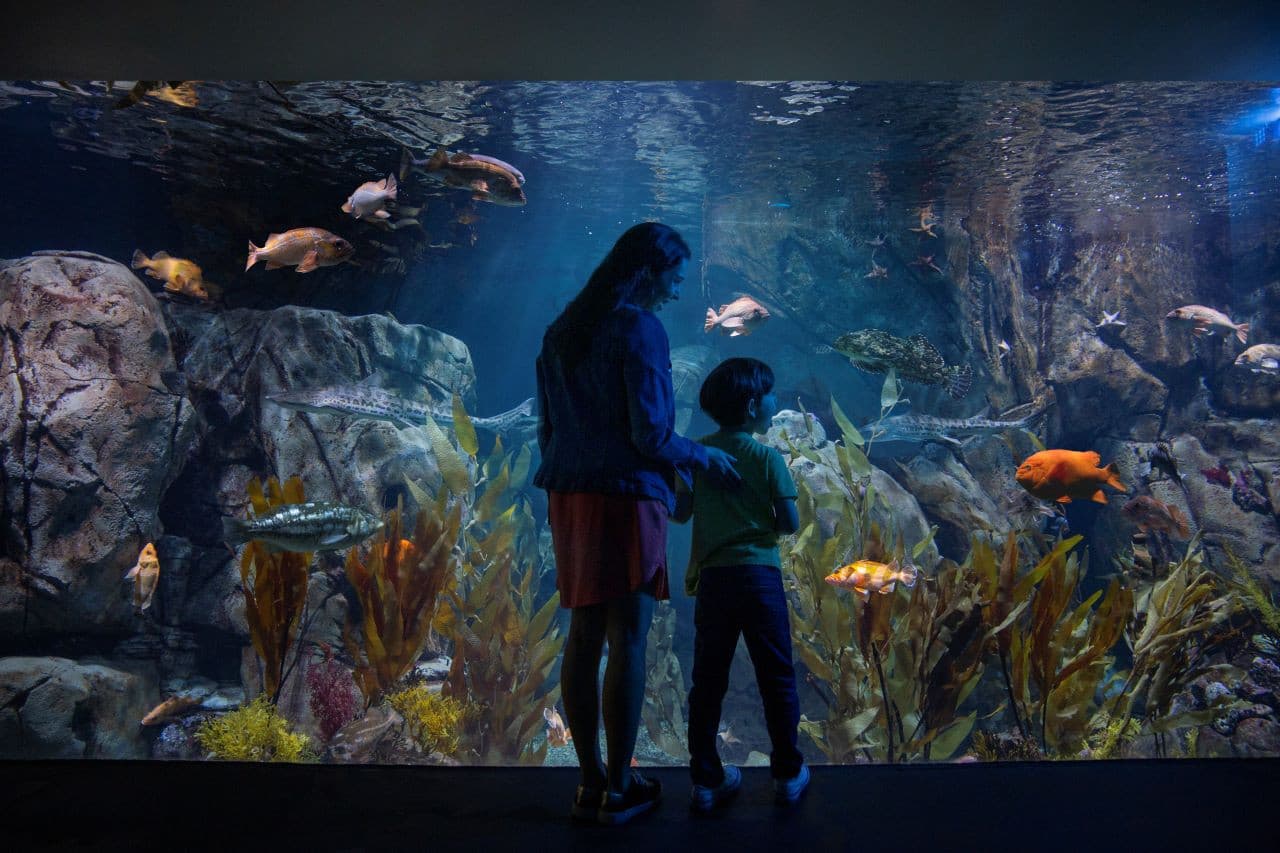 Go City Los Angeles All-Inclusive Pass Plus: Save up to 50% on Attractions - تصویر 9