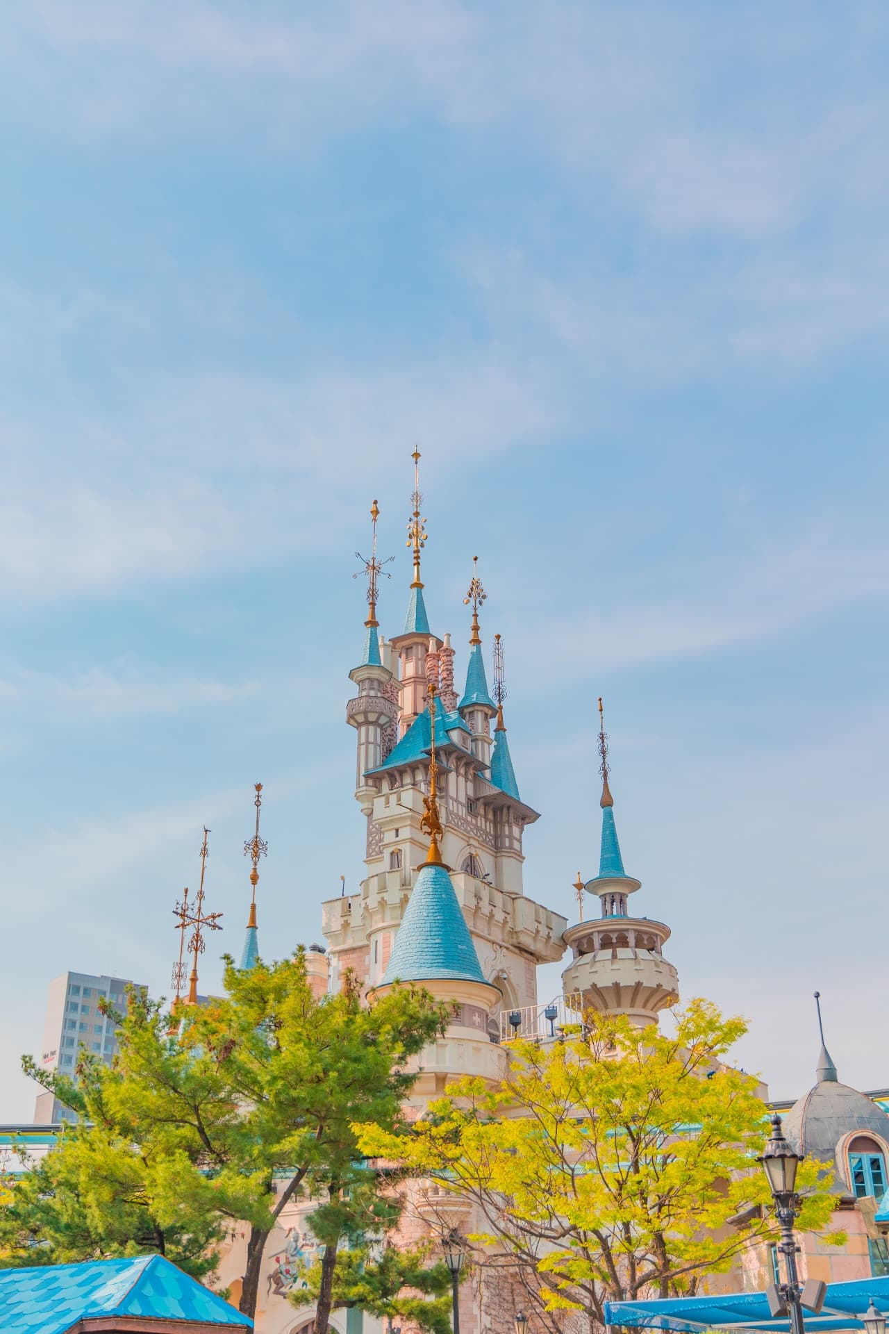 COMBO: AREX Incheon Airport Express Train + Korea SIM Card + Lotte World - تصویر 14