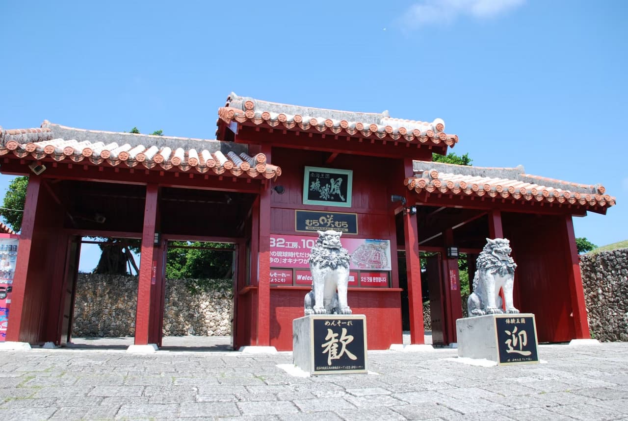 Okinawa Churaumi TokuToku 5 Pass - تصویر 11