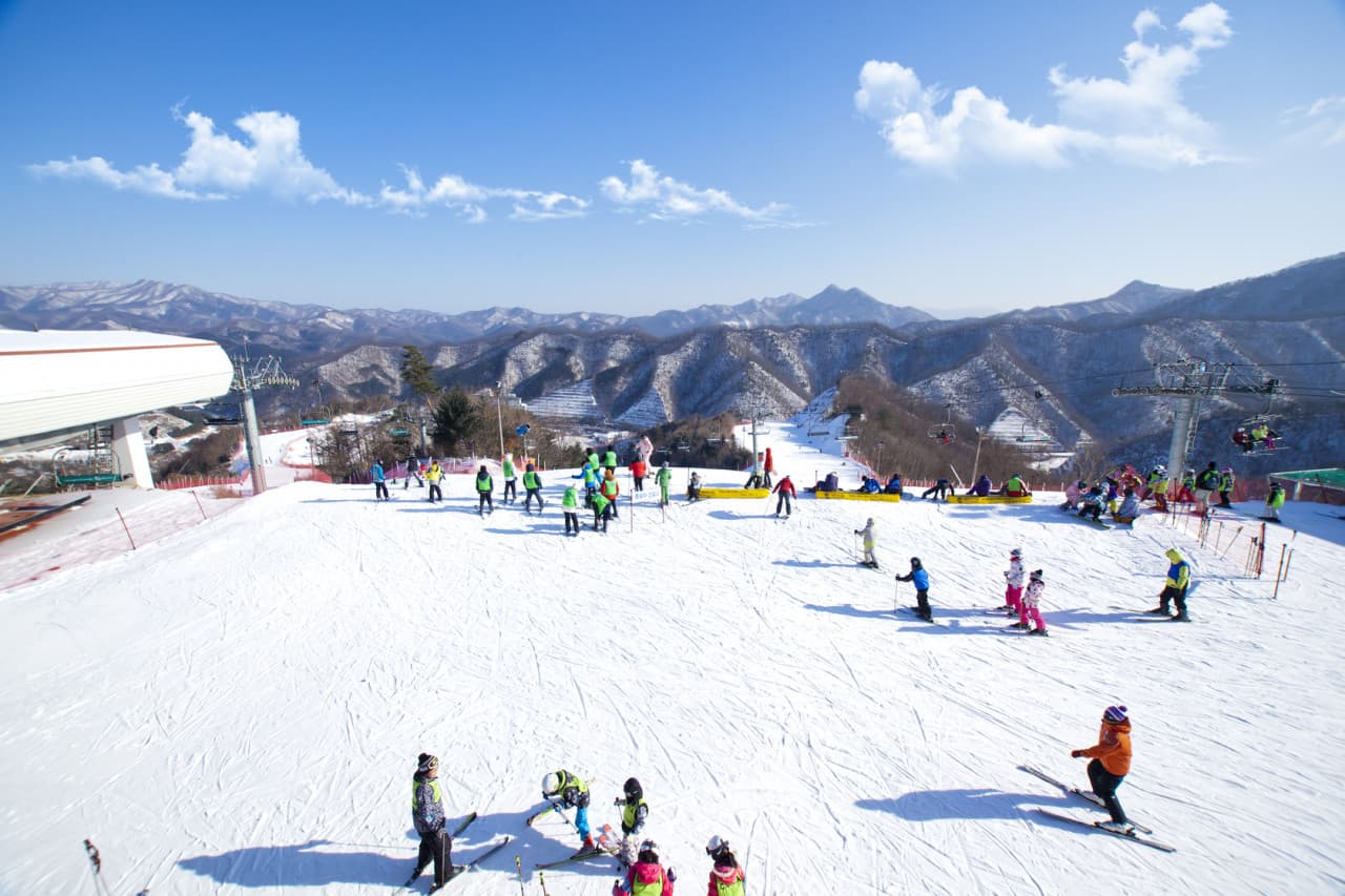 Elysian Gangchon Ski Resort and Nami Island Full-Day Tour from Seoul - تصویر 2