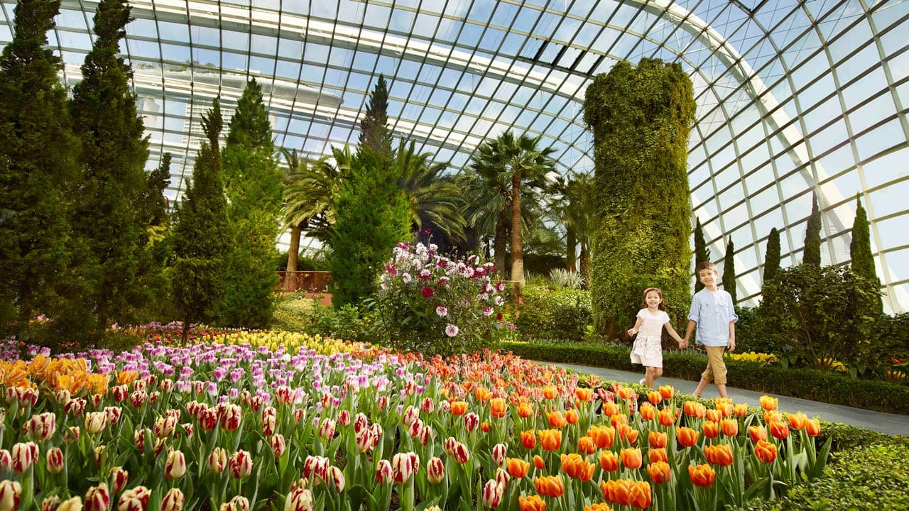 COMBO: Singapore Cable Car + Gardens by the Bay Ticket - تصویر 7