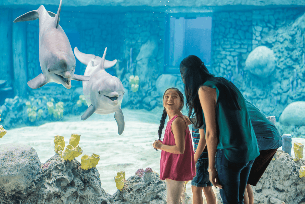 Go City San Antonio Essentials Pass: 3 Attractions - تصویر 6