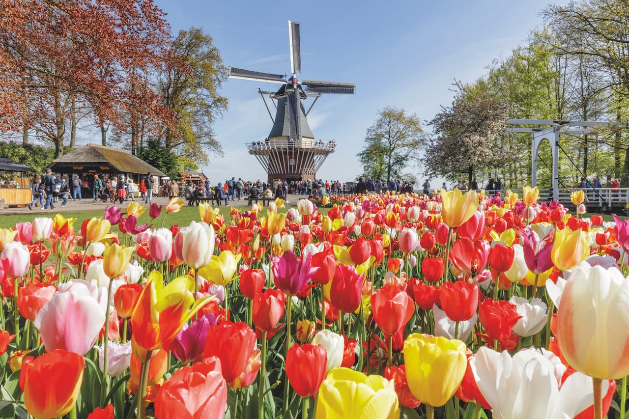 Go City Amsterdam All-Inclusive Pass: Save up to 50% on Attractions - تصویر 38