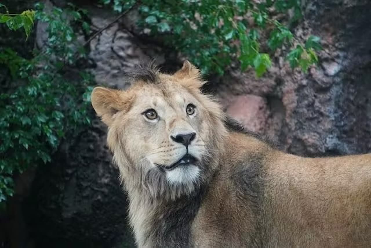 Nagoya-City Higashiyama Zoo and Botanical Gardens - تصویر 6