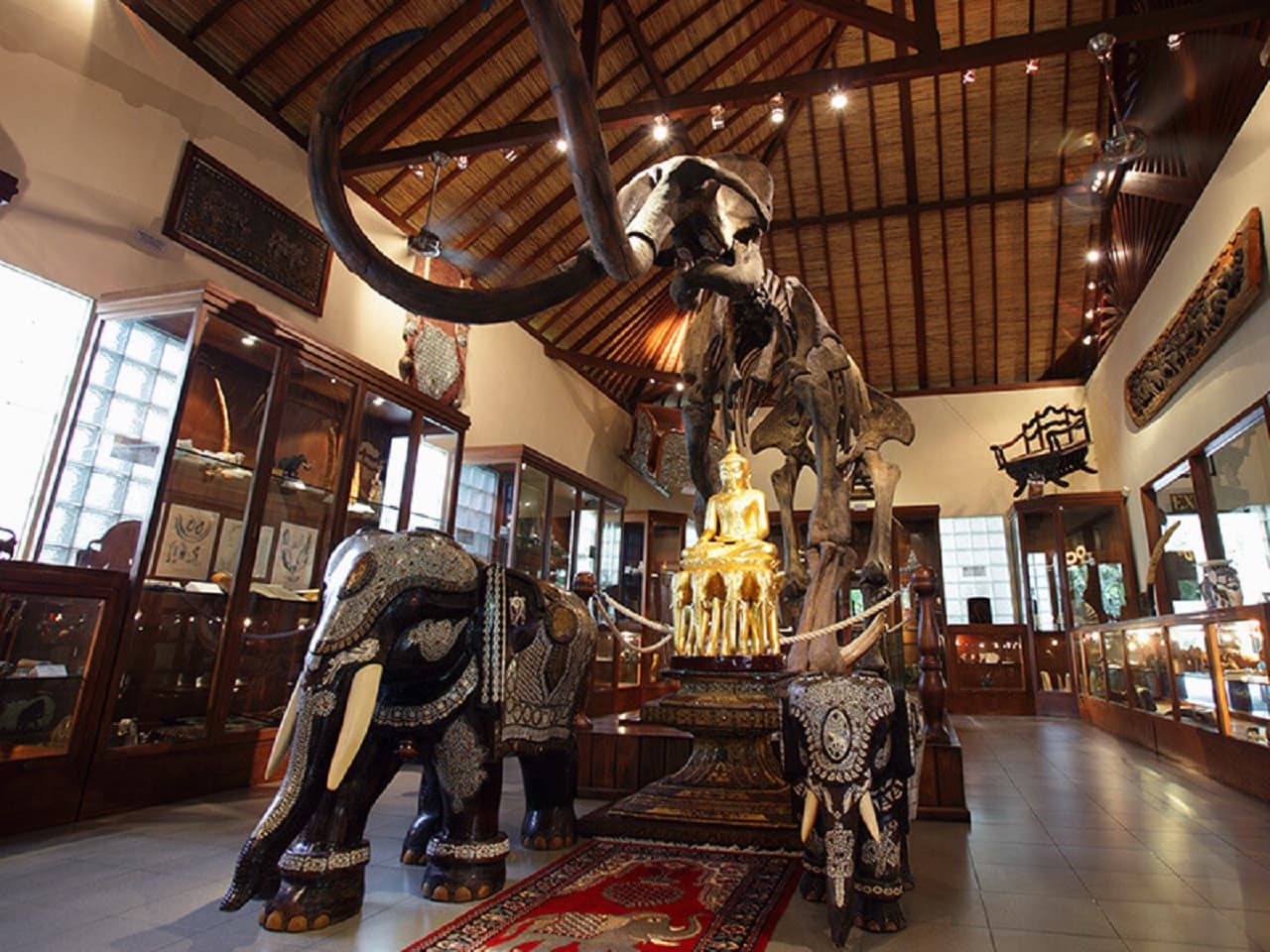 Mason Elephant Park Bali by Mason Adventures (Formerly known as Elephant Safari Park) - تصویر 11