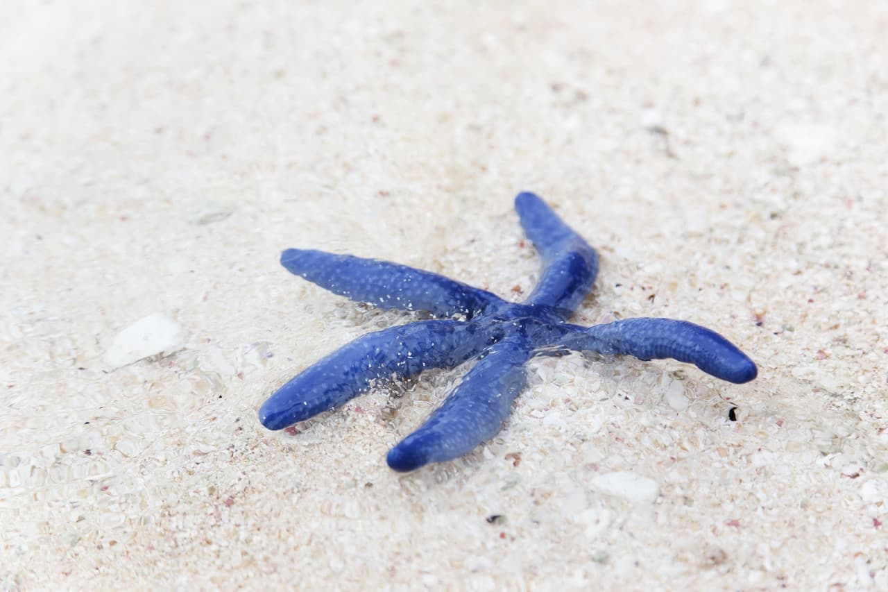 Desaru Beach and Tide Pool Walk - تصویر 2