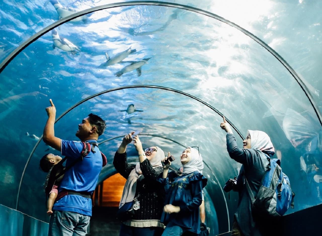 COMBO: Underwater World Langkawi + Crocodile Adventureland - تصویر اصلی