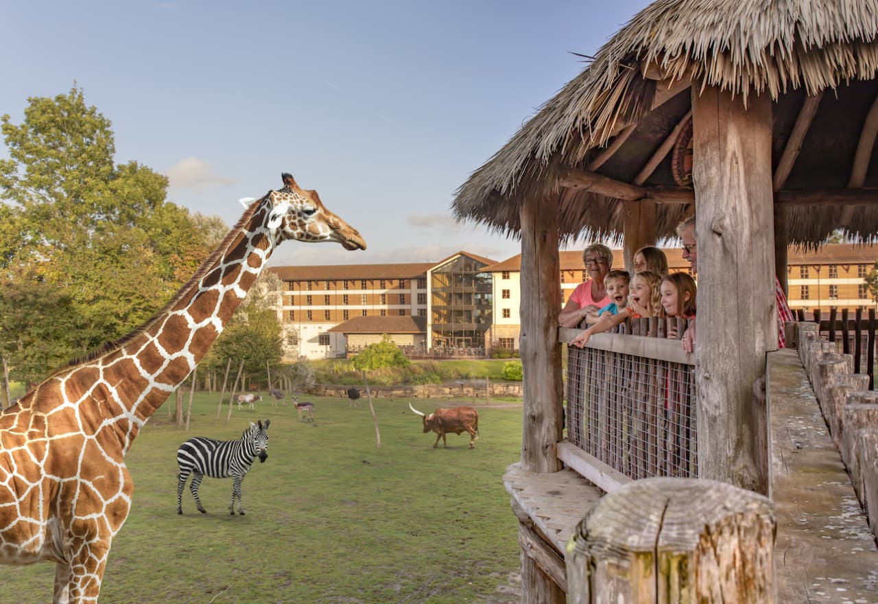Chessington World of Adventures Ticket - تصویر 16