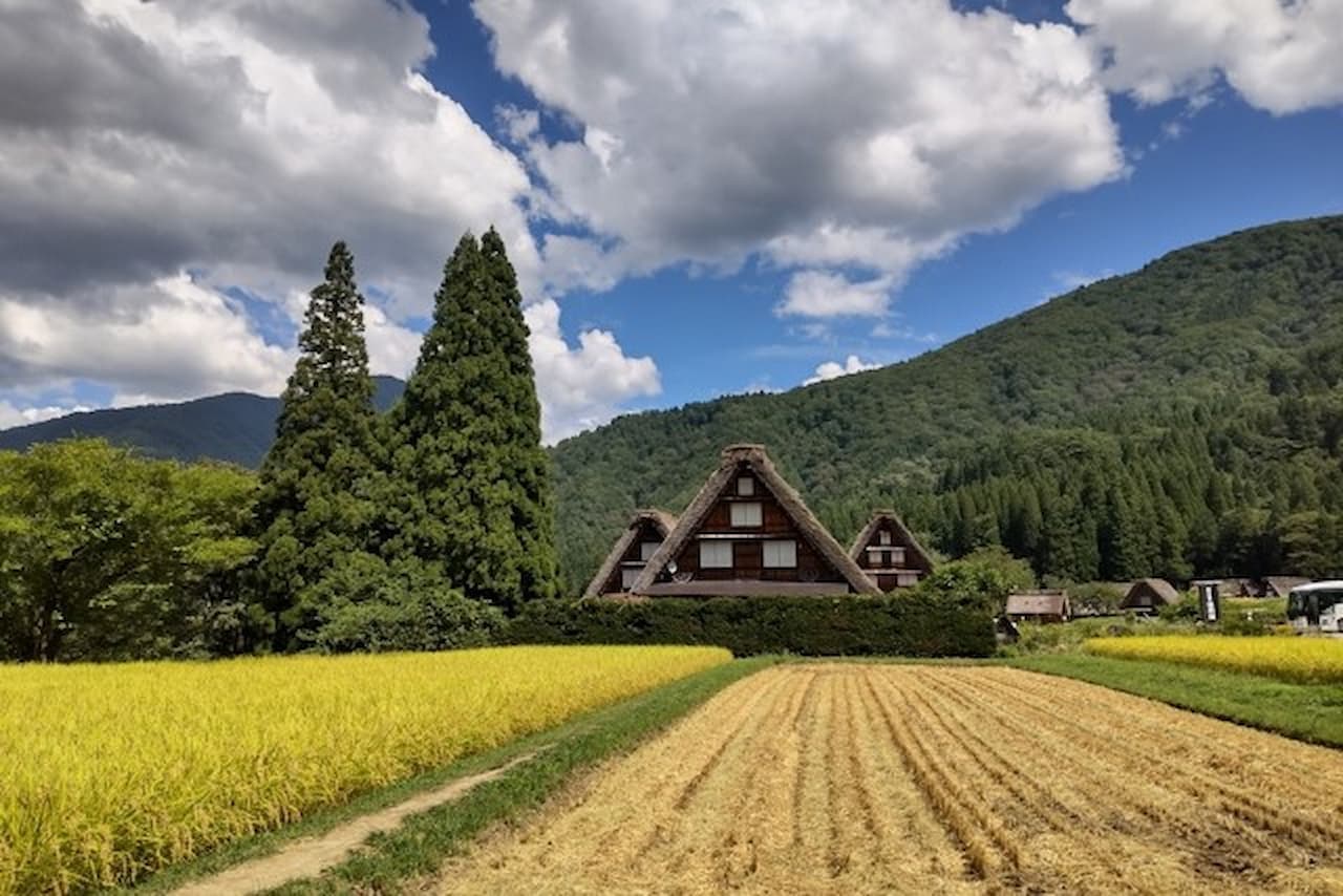 Ishikawa White Ring Bus Tour - تصویر 5