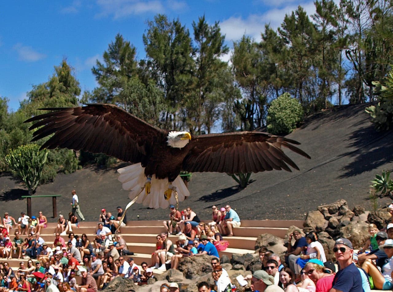 Rancho Texas Lanzarote Park Ticket - تصویر 8