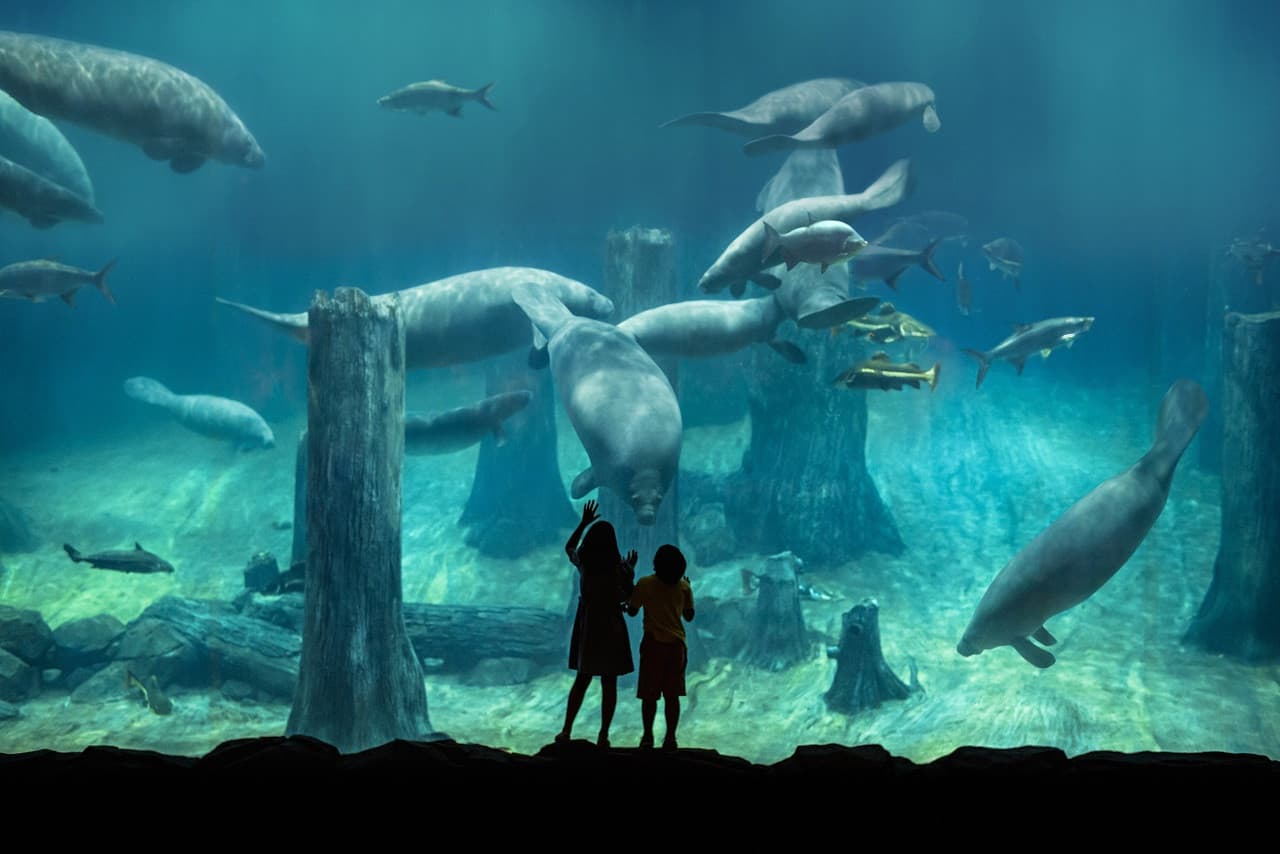 COMBO: Singapore Zoo + River Wonders Ticket - تصویر 10